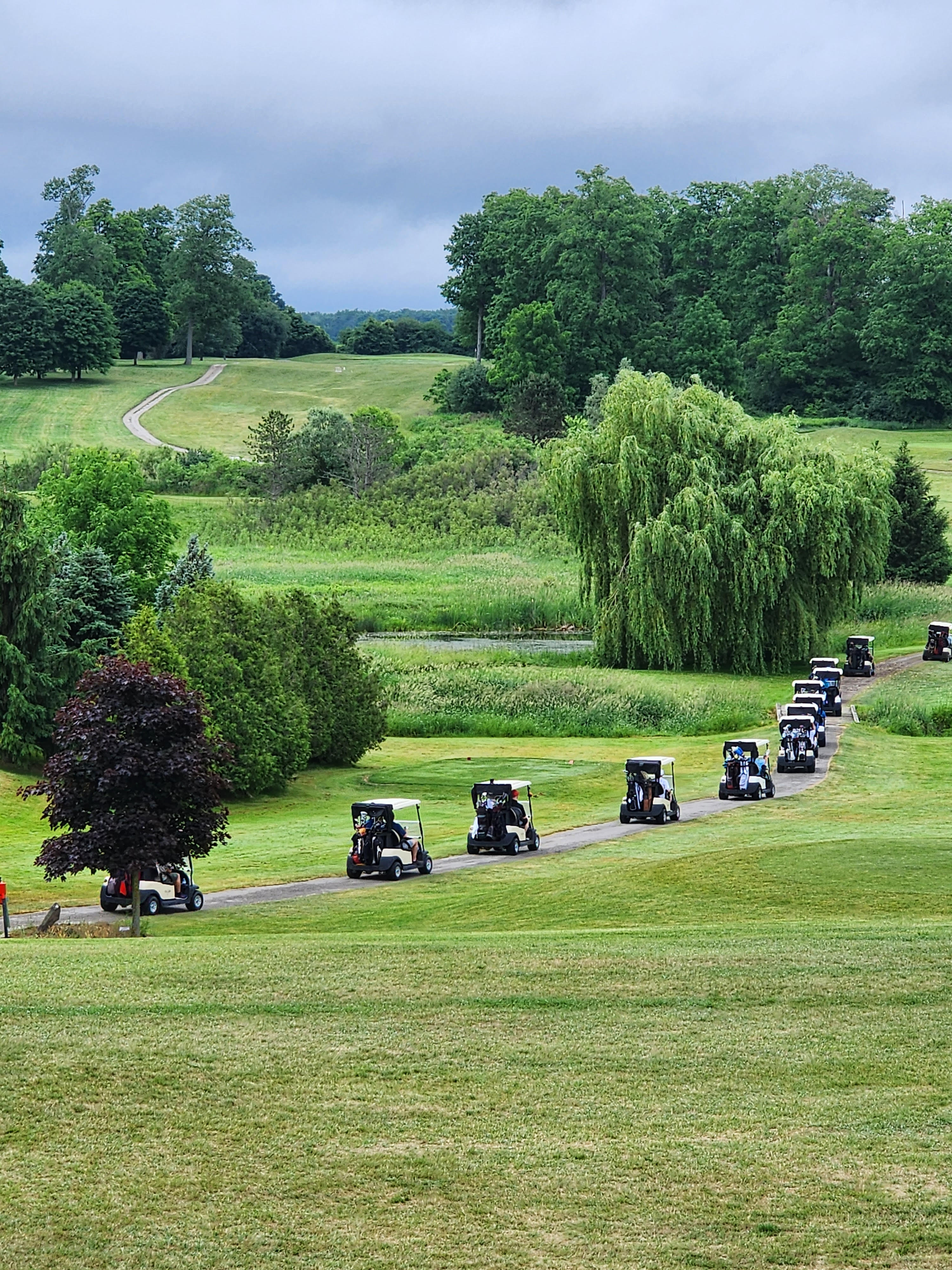 Carts on the cart path